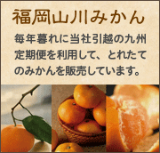 福岡山川みかん 毎年暮れに当社引越の九州定期便を利用して、とれたてのみかんを販売しています。