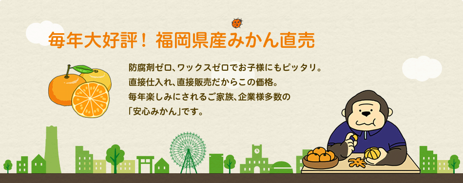 毎年大好評! 福岡県産みかん直売:防腐剤ゼロ、ワックスゼロでお子様にもピッタリ。直接仕入れ、直接販売だからこの価格。毎年楽しみにされるご家族、企業様多数の「安心みかん」です。